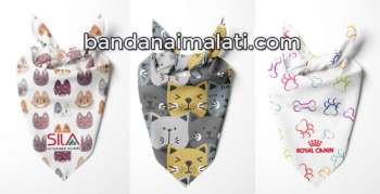 köpek-bandanaları