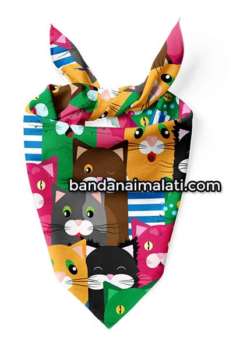 pet bandana 19